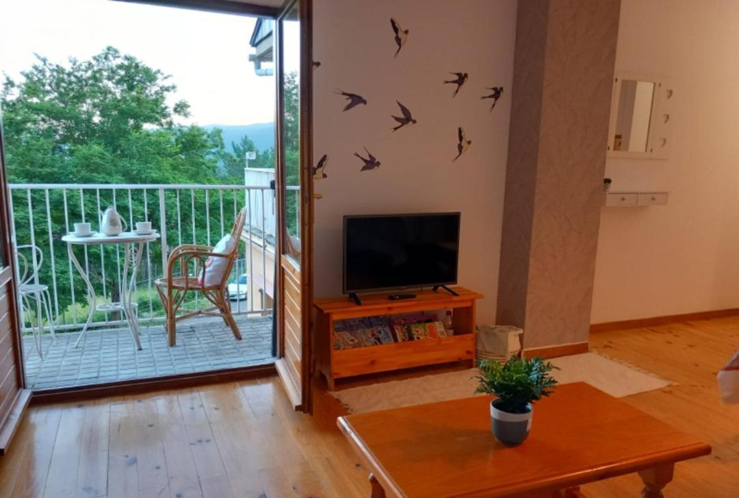 Villanúa Apartamento Los Pajaritos מראה חיצוני תמונה