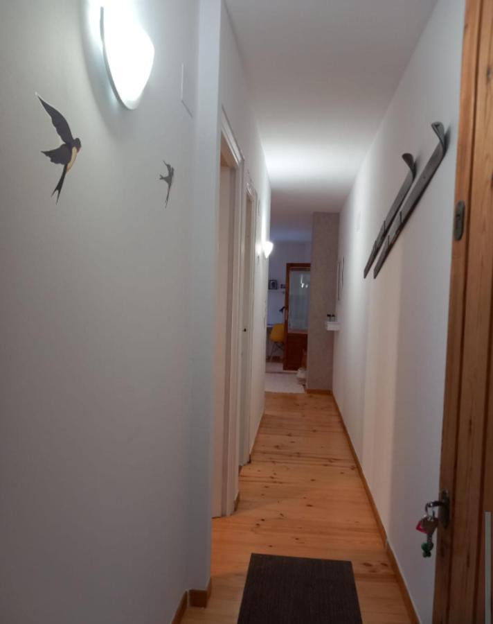 Villanúa Apartamento Los Pajaritos מראה חיצוני תמונה